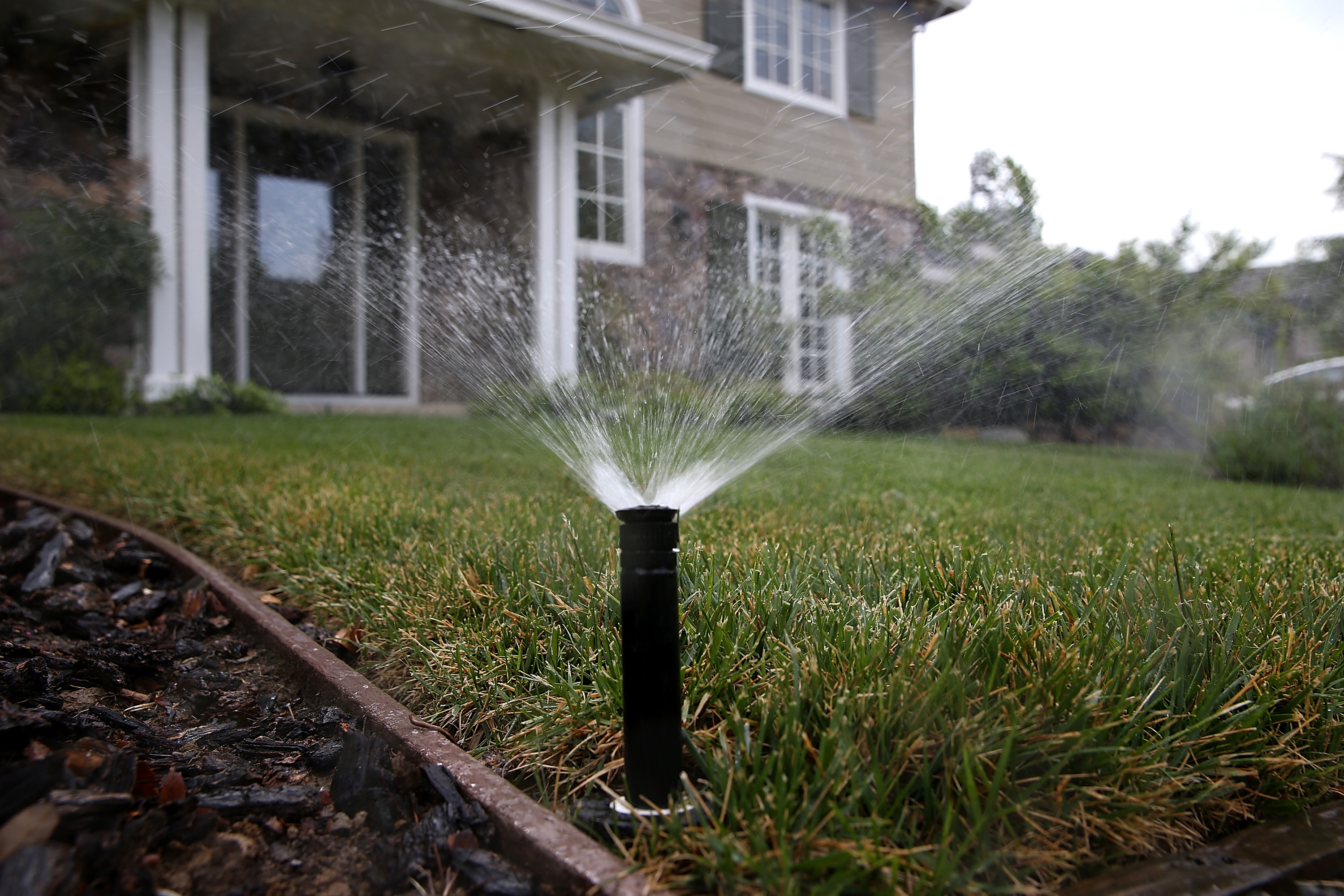 A sprinkler waters a lawn on April 7, 2015, in Walnut Creek. (Credit: Justin Sullivan/Getty Images)