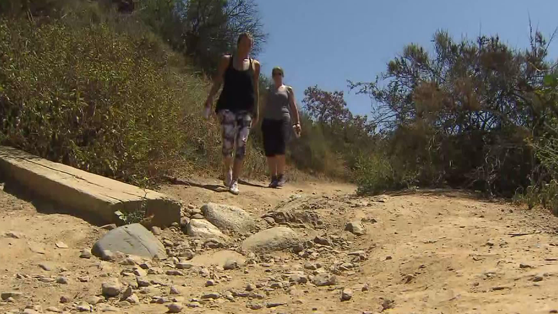 Hikers are seen at Runyon Canyon in this file photo. (KTLA)