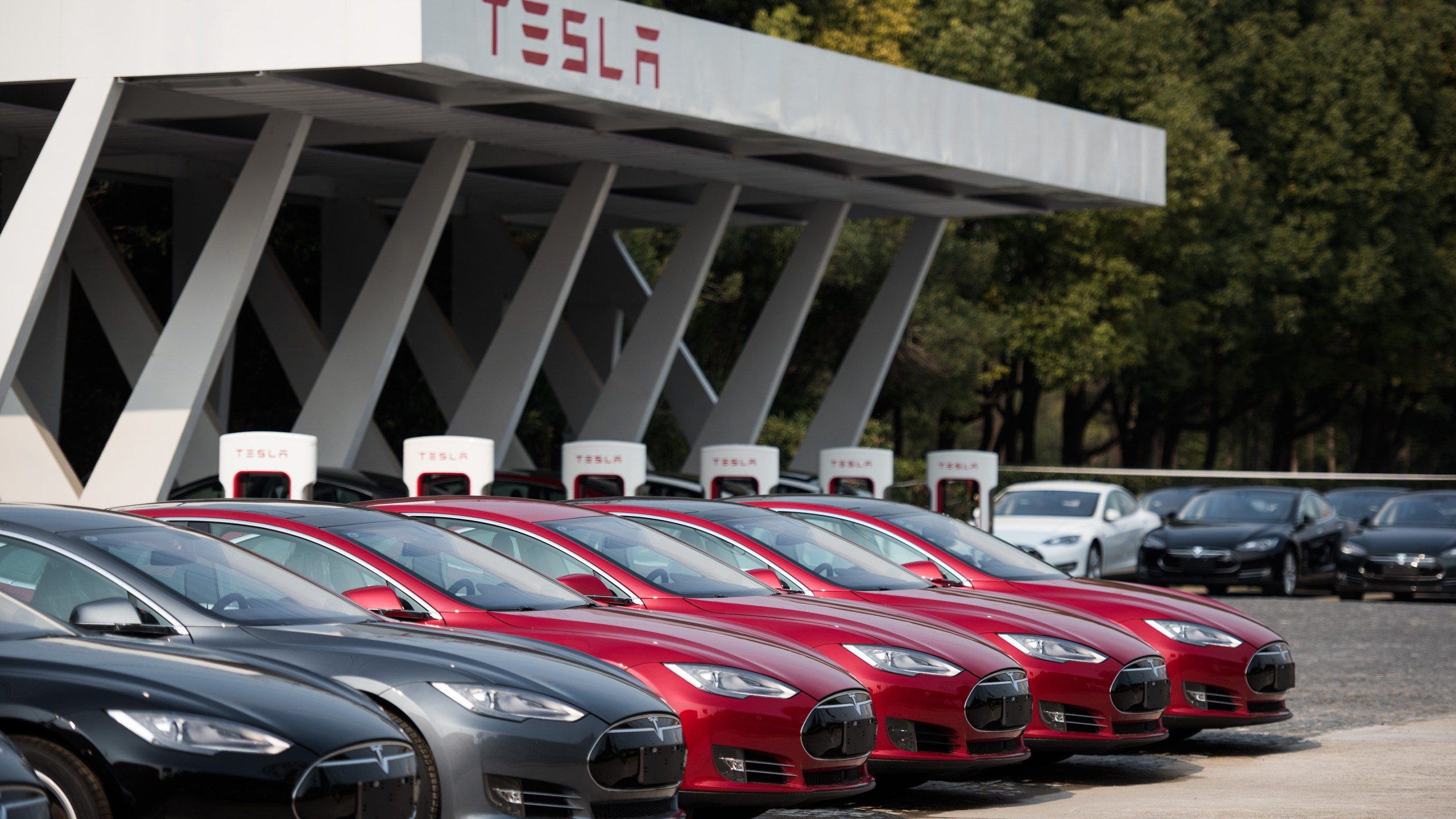 Tesla Model S vehicles are parked outside a car dealership in Shanghai on March 17, 2015. (Credit: JOHANNES EISELE/AFP/Getty Images)