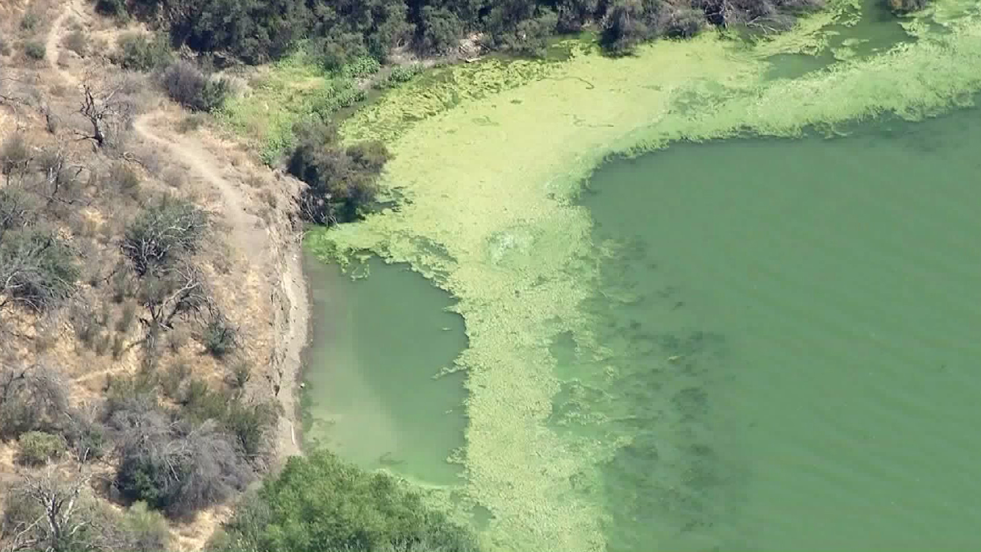 The edge of Pyramid Lake is shown on July 13, 2016, when an algal bloom was present. (Credit: KTLA)