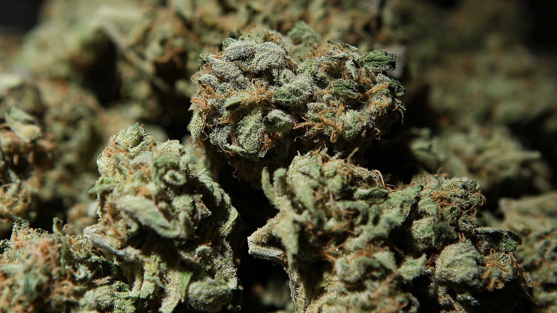 In this file photo, a bowl of marijuana is displayed in a booth at The International Cannabis and Hemp Expo April 18, 2010, in Daly City. (Justin Sullivan/Getty Images)