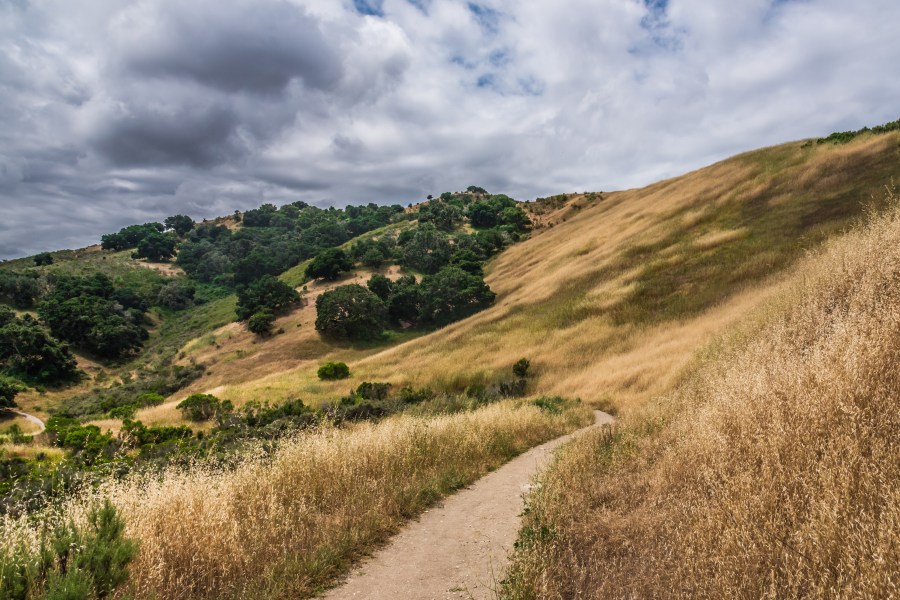 Hiking Trail in California