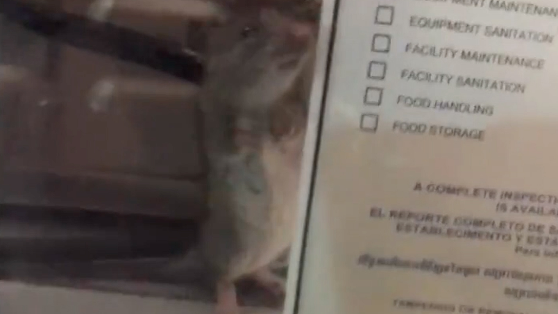 A still from a video posted on Facebook on Aug. 16, 2017, shows a rat scurrying across a counter and next to a health department inspection compliance sign at a Tommy's restaurant in Long Beach.