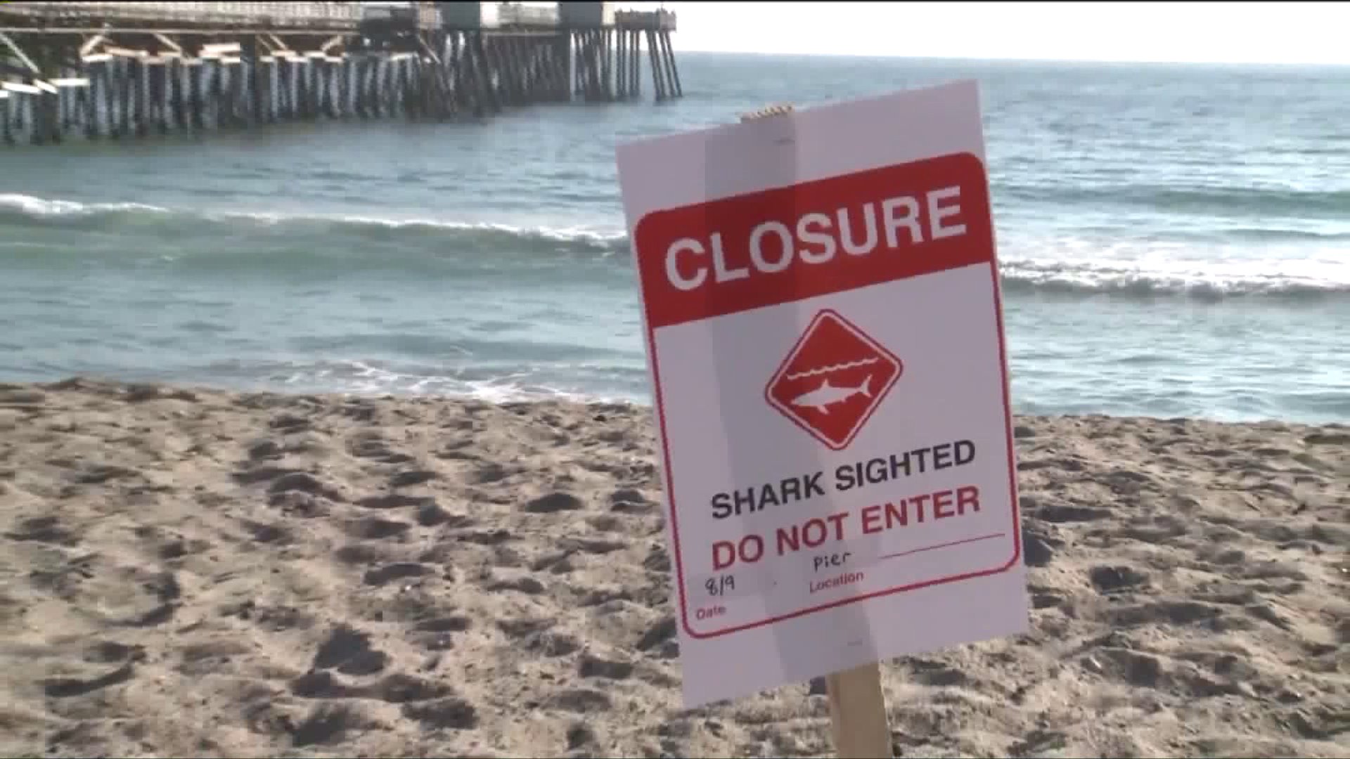 A sign is seen warning people not to enter the San Clemente beach where a shark was spotted on Aug. 9, 2017. (Credit: KTLA)