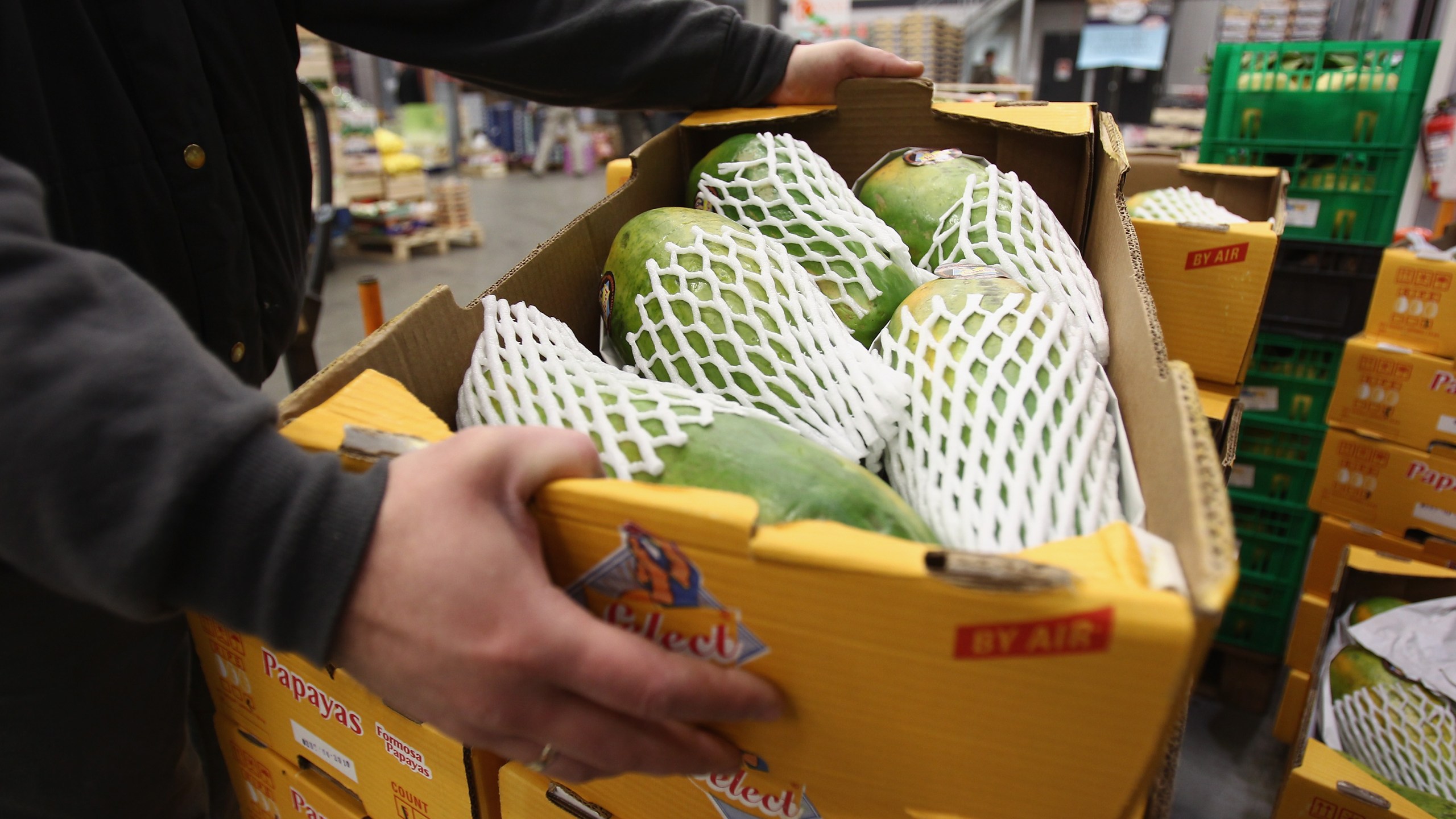 A shopper lifts up a box of Brazilian papaya fruits at the central market on April 20, 2010, in Berlin, Germany. (Credit: Andreas Rentz/Getty Images)