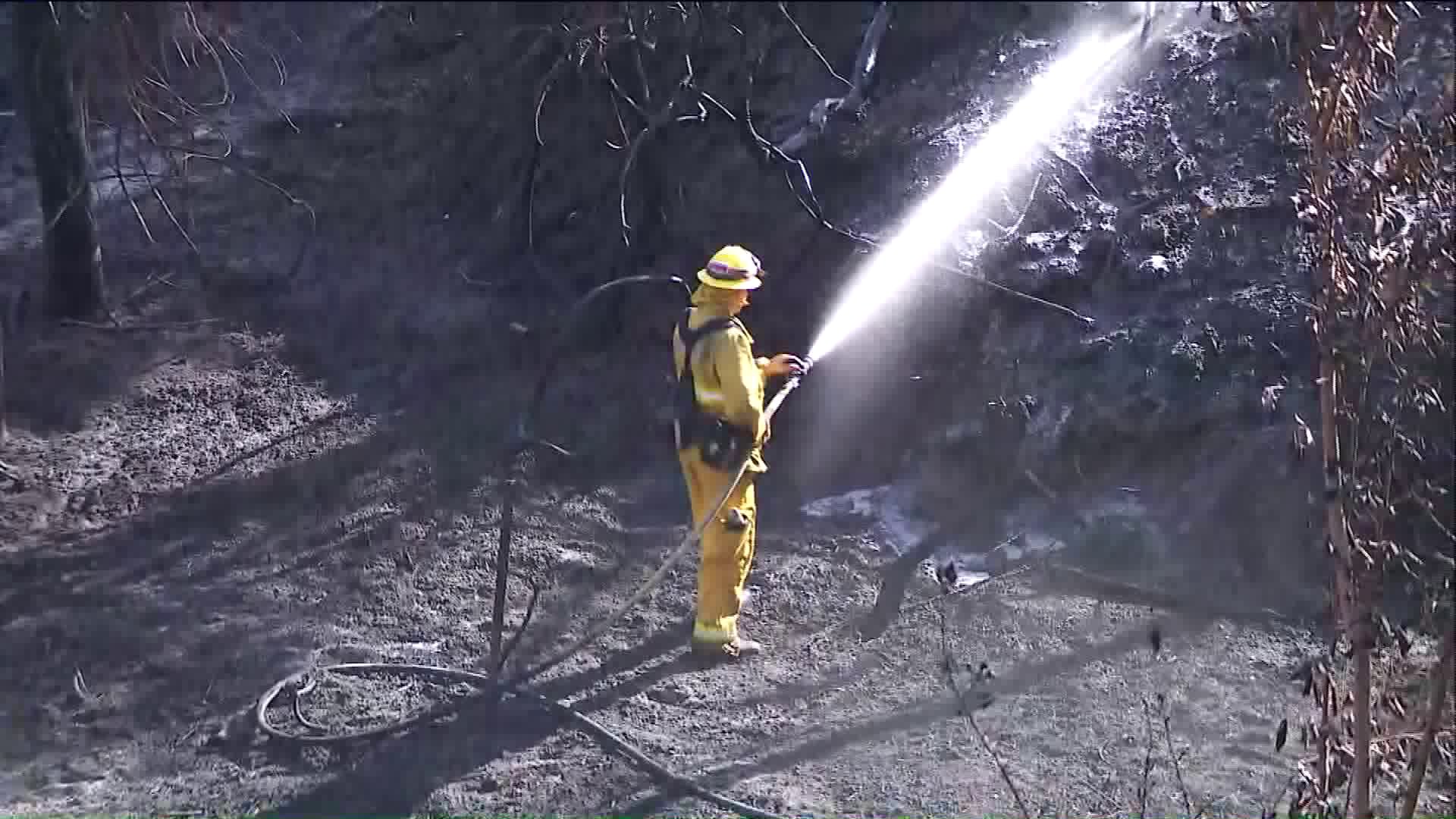 A firefighter sprays water on a hot spot in Tustin after the Canyon Fire swept through the Cowan Heights area. (Credit: KTLA)