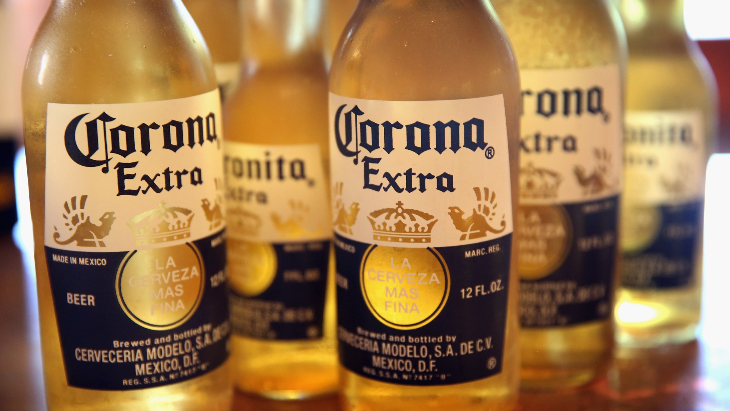 In this photo illustration, bottles of Corona beer are shown on June 7, 2013, in Chicago. (Credit: Scott Olson / Getty Images)