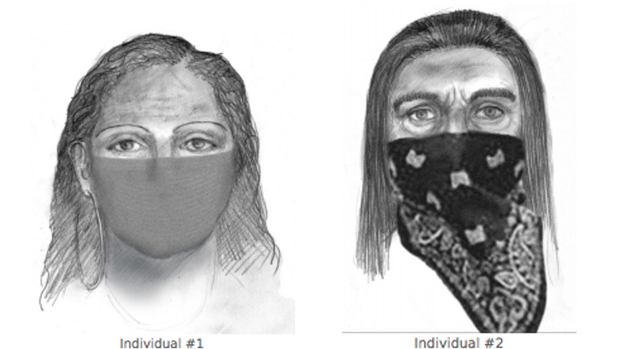 The FBI released these suspect sketches of a man and a woman being sought in connection with the kidnapping of Redding mother Sherri Papini.