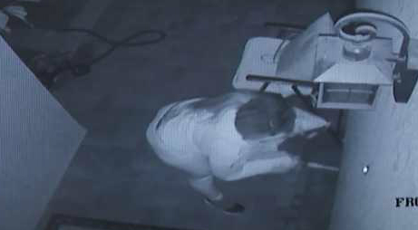 Surveillance footage from a camera at a home in Rancho Cucamonga shows an arsonist pouring fuel in an effort to light the home on fire on Dec. 14, 2017. (Credit: Rancho Cucamonga Police Department)