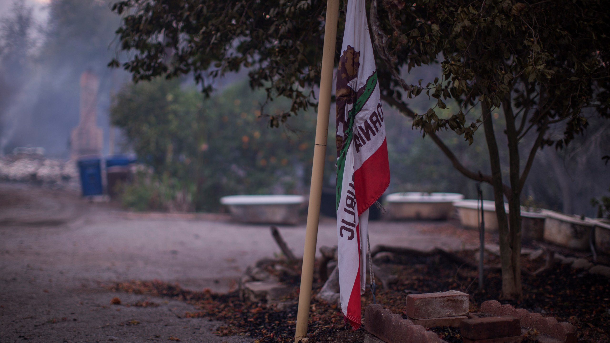 A California state flag is seen at a farm that was heavily damaged by the Thomas Fire on Dec. 10, 2017 near Carpinteria, California. (Credit: David McNew/Getty Images)