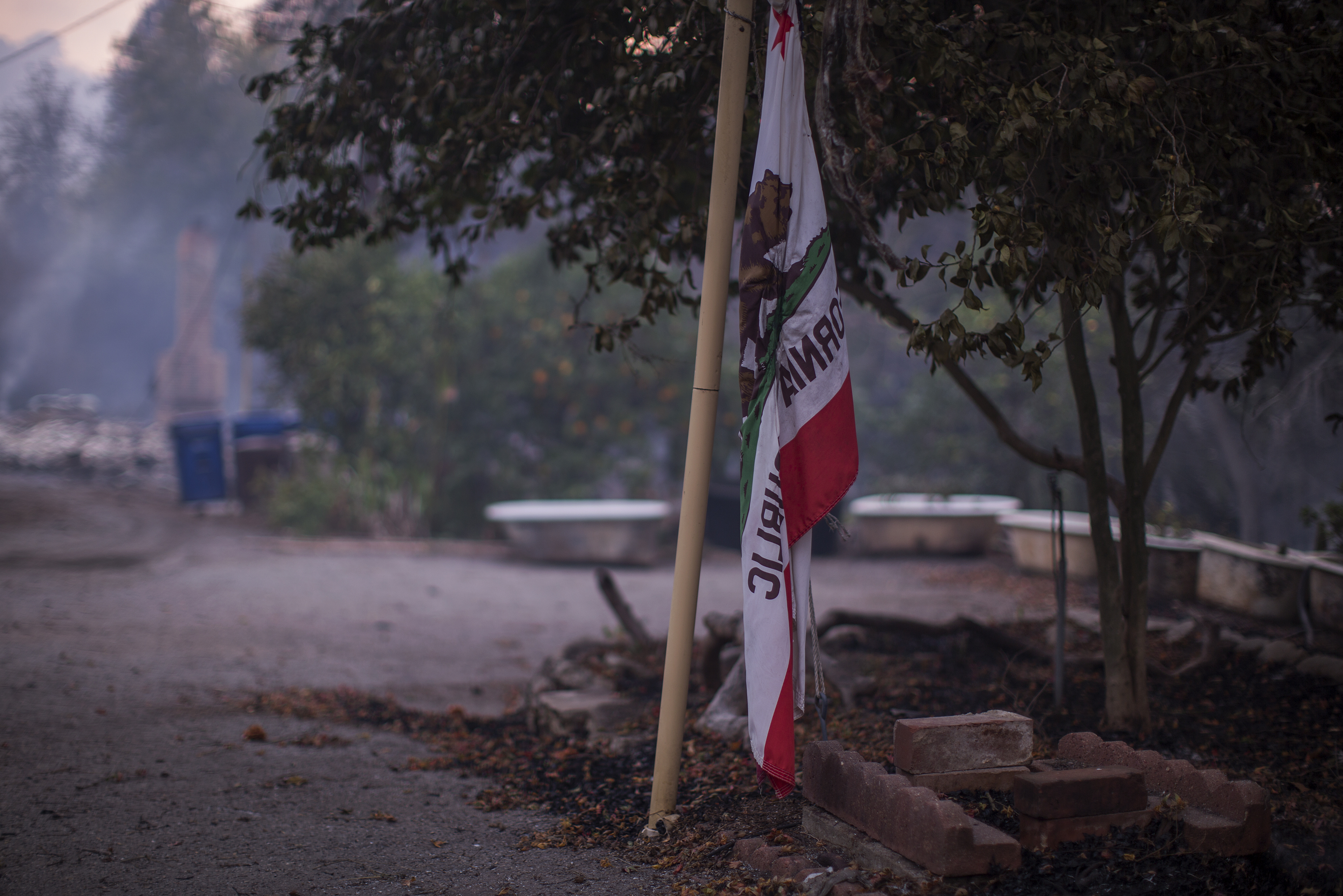 A California state flag is seen at a farm that was heavily damaged by the Thomas Fire on Dec. 10, 2017 near Carpinteria, California. (Credit: David McNew/Getty Images)