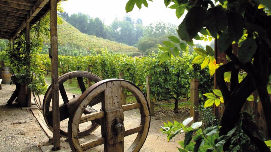 Rupert Murdoch's Bel-Air vineyard is shown on the Moraga Estate website.