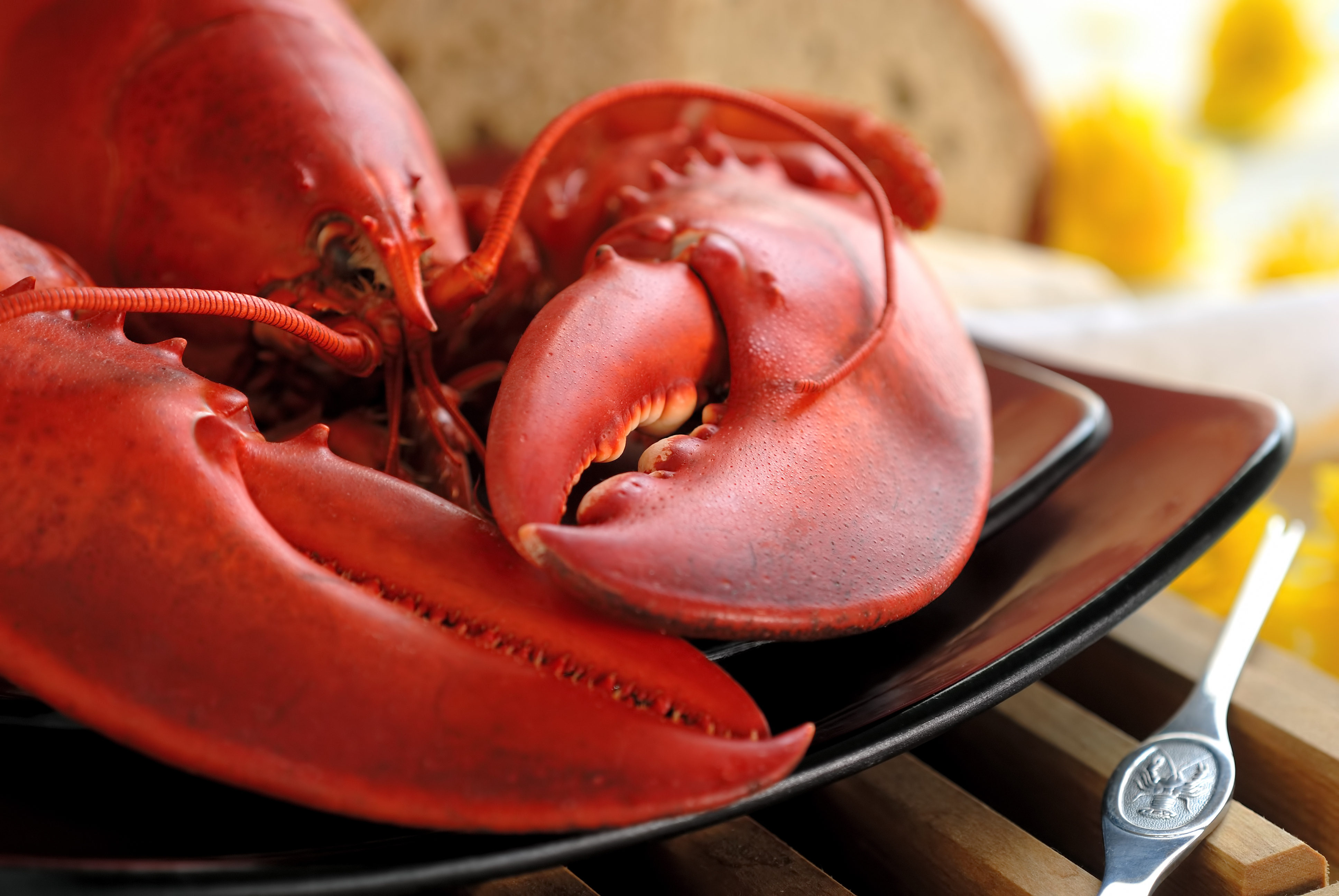 A boiled lobster is seen in this file photo. (Credit: iStock/Getty Images Plus)