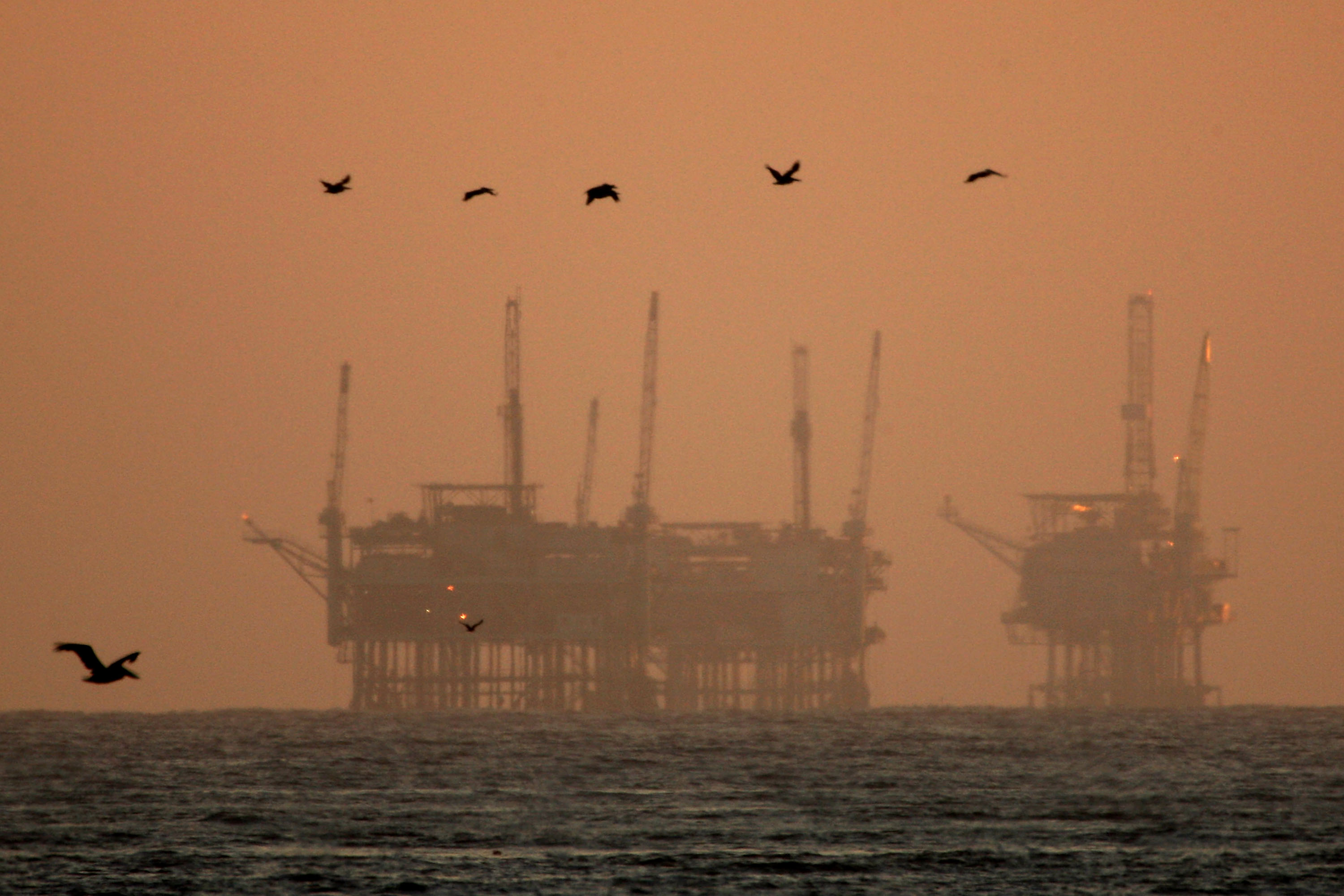 California brown pelicans fly near offshore oil rigs after sunset on July 21, 2009, near Santa Barbara. (Credit: David McNew/Getty Images)