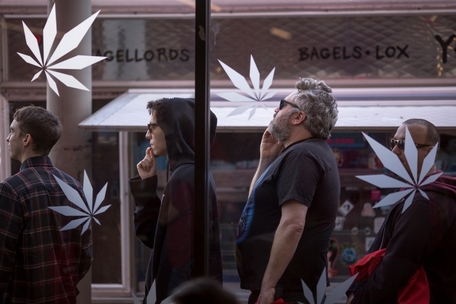 People stand in line to get into MedMen, one of two Los Angeles area pot shops that began selling marijuana for recreational use under the new California marijuana law on Jan. 2, 2018, in West Hollywood. (Credit: David McNew / Getty Images)