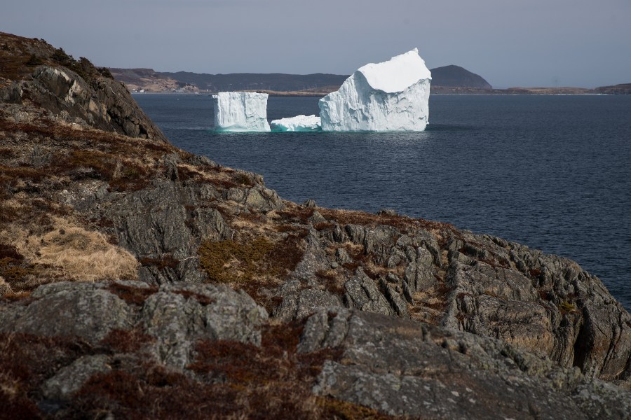 An iceberg floats in the Atlantic Ocean, April 26, 2017, off the coast of Port Kirwan, Newfoundland, Canada. (Credit: Drew Angerer/Getty Images)