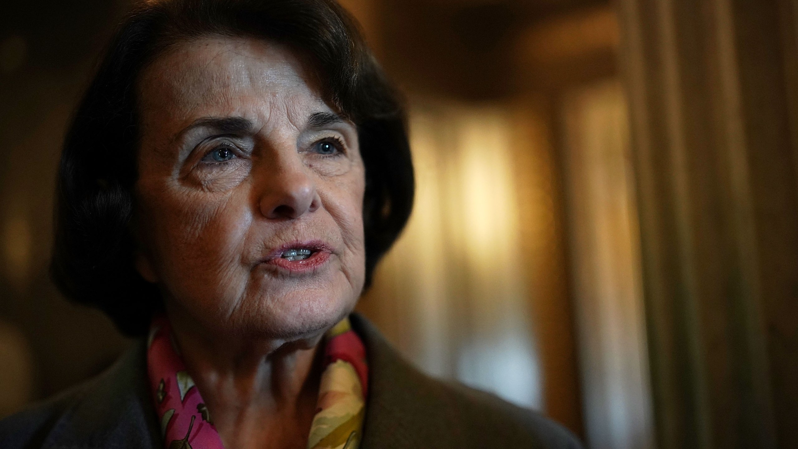 U.S. Sen. Dianne Feinstein, D-CA, speaks to members of the media at the Capitol on Feb. 15, 2018 in Washington, D.C. (Credit: Alex Wong/Getty Images)