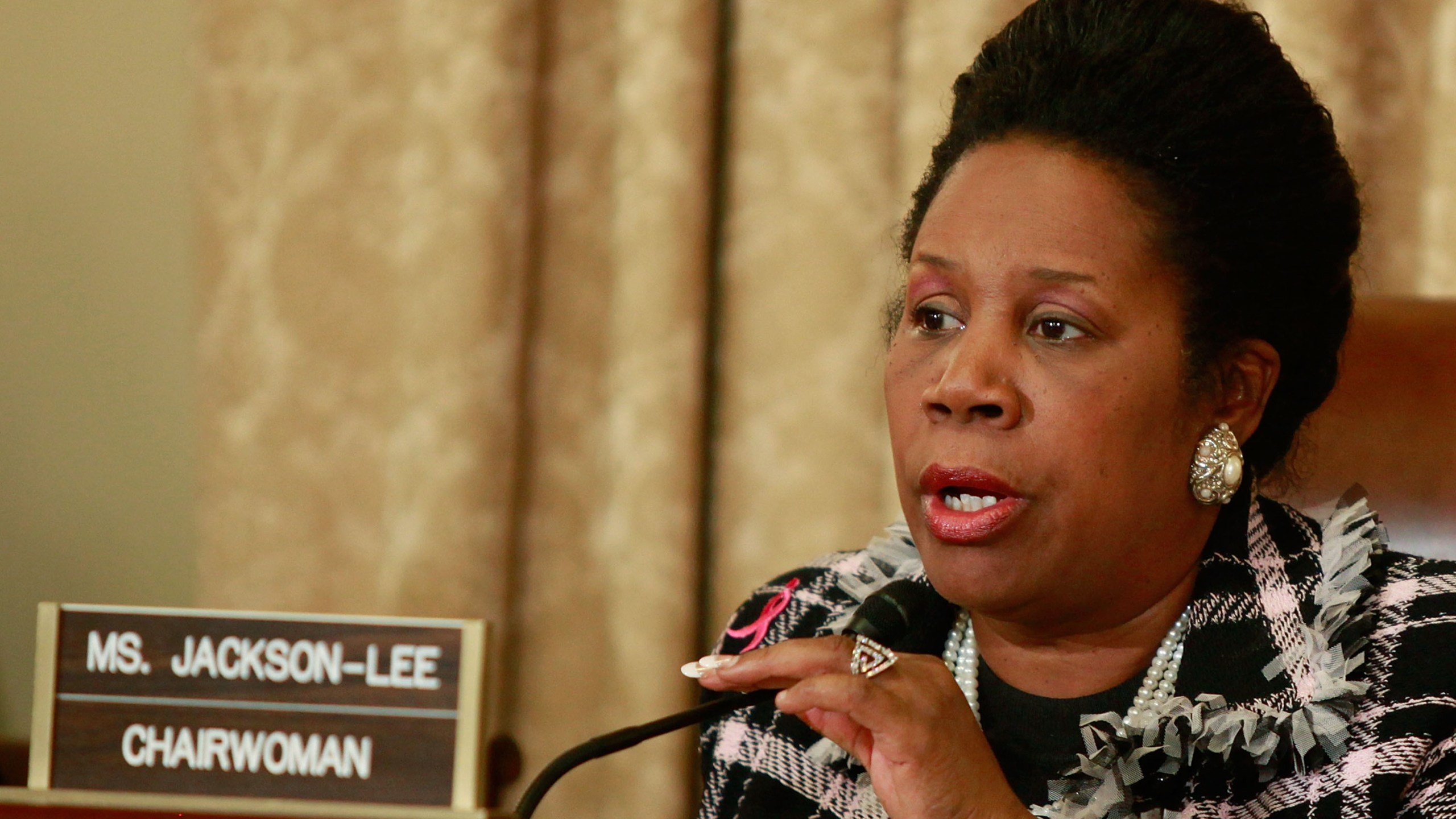 Rep. Sheila Jackson-Lee, D-TX, speaks during a House Homeland Security Committee hearing on Capitol Hill on Dec. 16, 2009 in Washington, D.C. (Credit: Mark Wilson/Getty Images)