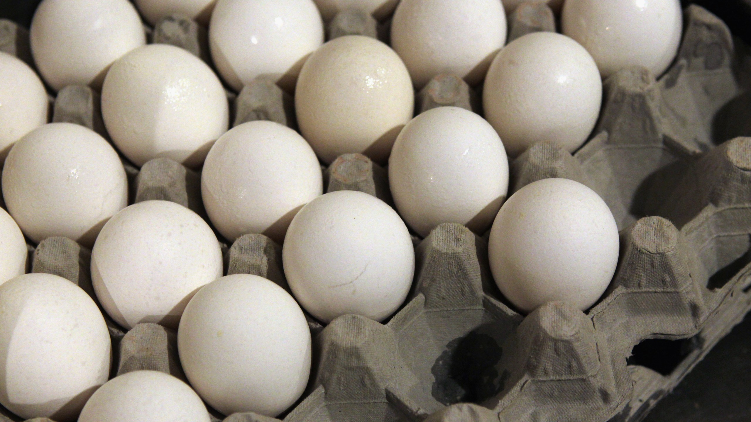 This file photo shows eggs in a crate. (Credit: Justin Sullivan/Getty Images)