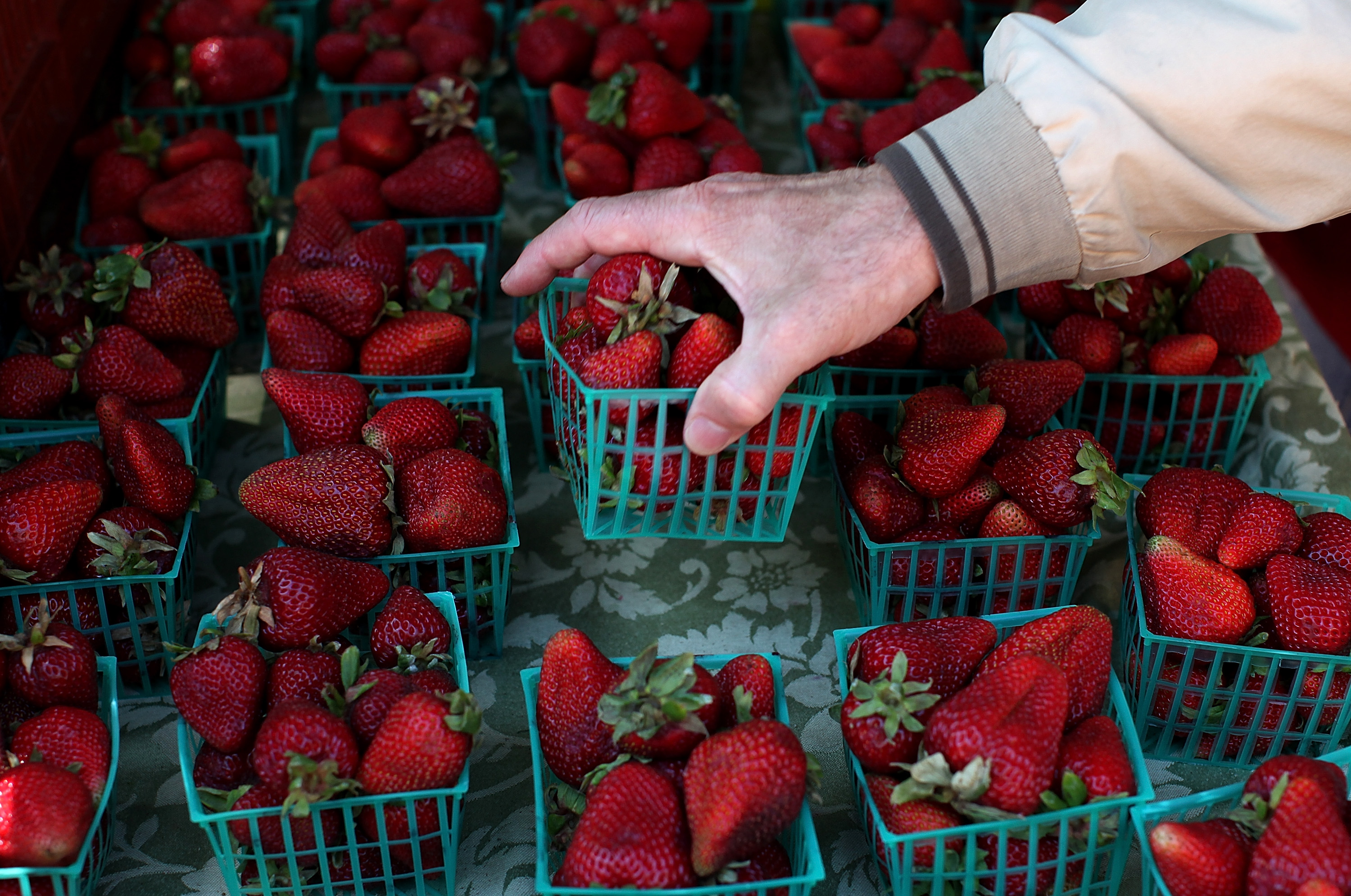 A customer chooses a basket of strawberries at a farmers market on June 13, 2012, in San Francisco. (Credit: Justin Sullivan/Getty Images)