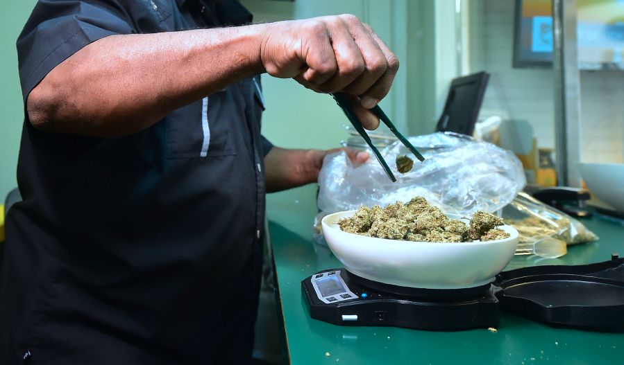 Marijuana is weighed on a scale at Virgil Grant's dispensary in Los Angeles on Feb. 8, 2018. (Credit: Frederic J. Brown / AFP / Getty Images)