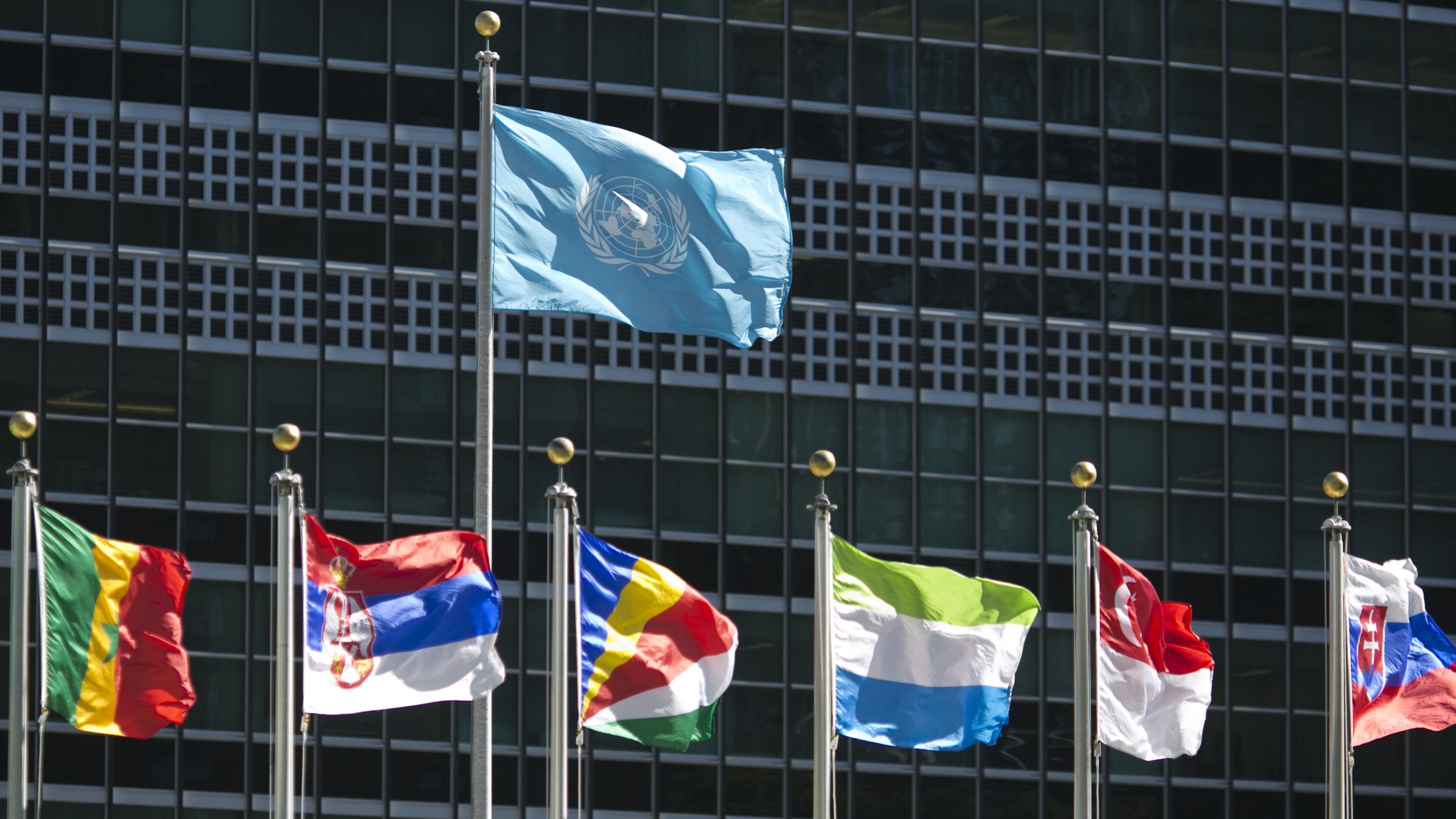 International flags fly in front of the United Nations headquarters on September 24, 2015, before the start of the 70th General Assembly meeting. (Credit: Dominick Reuter/AFP/Getty Images)