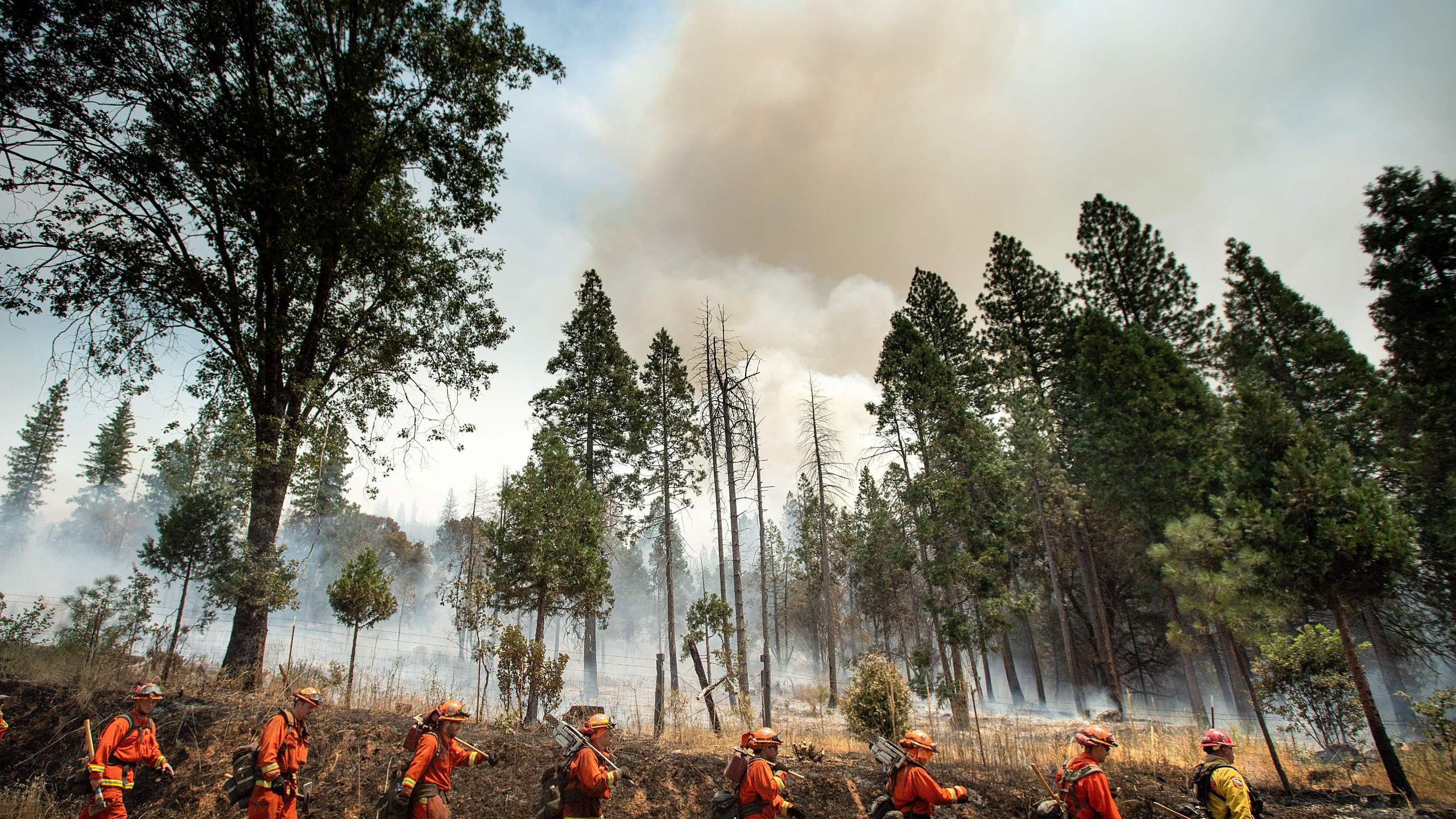 Inmate firefighters battle the Ferguson Fire in Jerseydale, California on July 22, 2018. (Credit: NOAH BERGER/AFP/Getty Images)