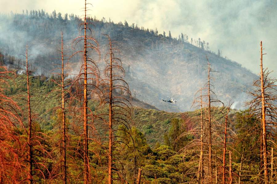 Dead trees line a clearing as a helicopter battling the Ferguson Fire passes in the Stanislaus National Forest on July 22, 2018. (Credit: Noah Berger / AFP / Getty Images)