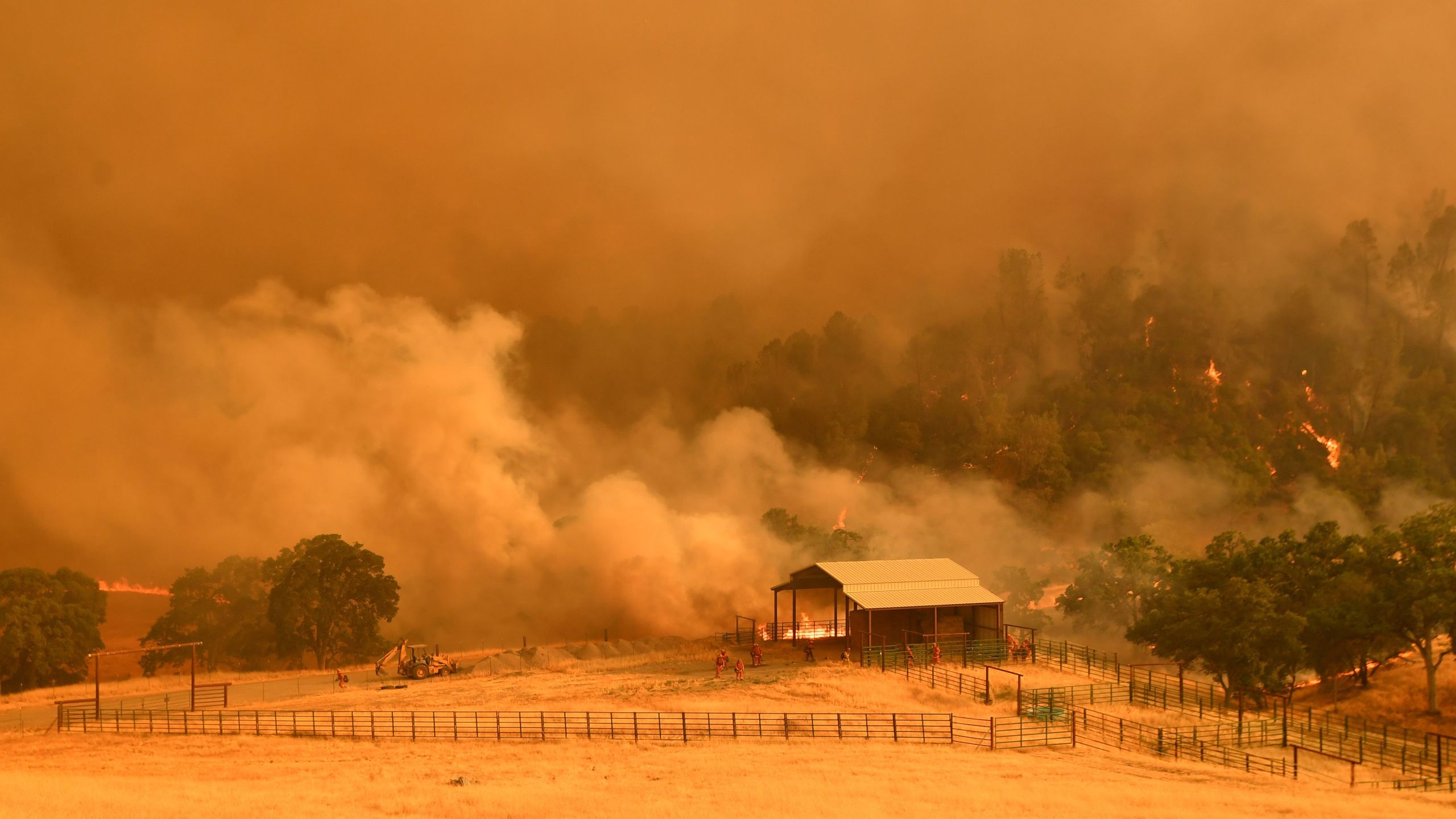 Inmate firefighters work as flames from the County Fire climb a hillside in Guinda on July 1, 2018. (Credit: Josh Edelson / AFP / Getty Images)