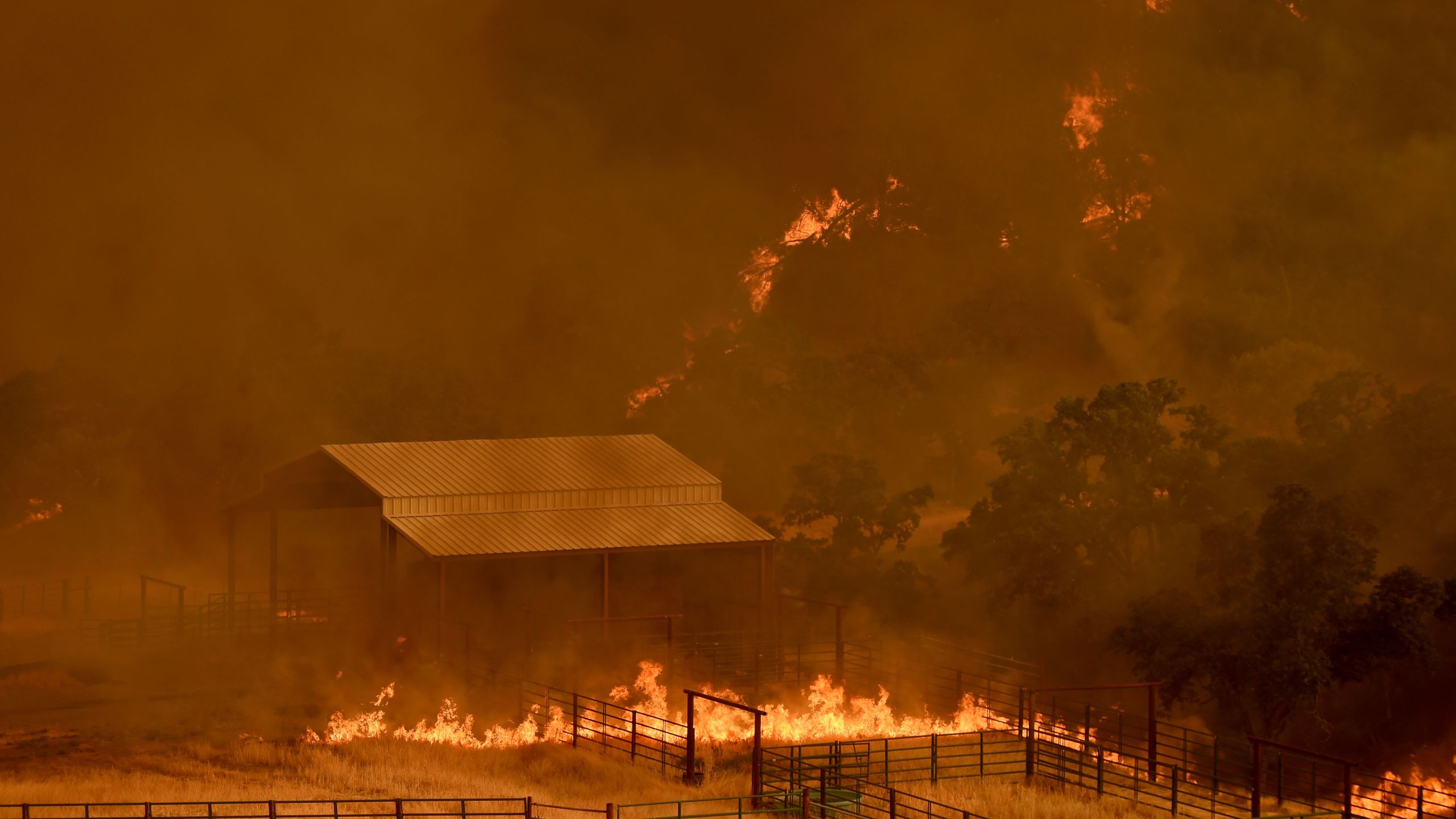 Flames from a wildfire in Yolo County move through a property in Guinda, California, on July 1, 2018. (Credit: JOSH EDELSON/AFP/Getty Images)