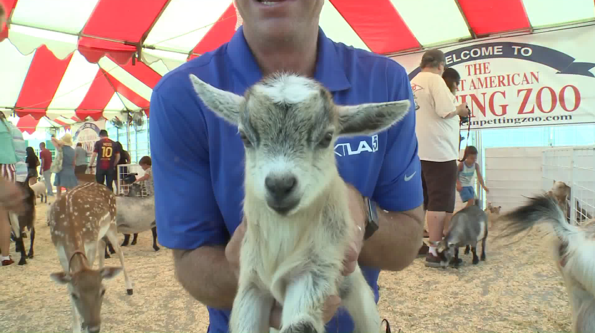 KTLA's Chip Yost is shown with a new friend on July 13, 2018, at the Orange County Fair in Costa Mesa.