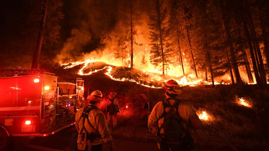 Firefighters try to control a back burn as the Carr Fire spreads toward the towns of Douglas City and Lewiston near Redding on July 31, 2018. (Credit: MARK RALSTON/AFP/Getty Images)