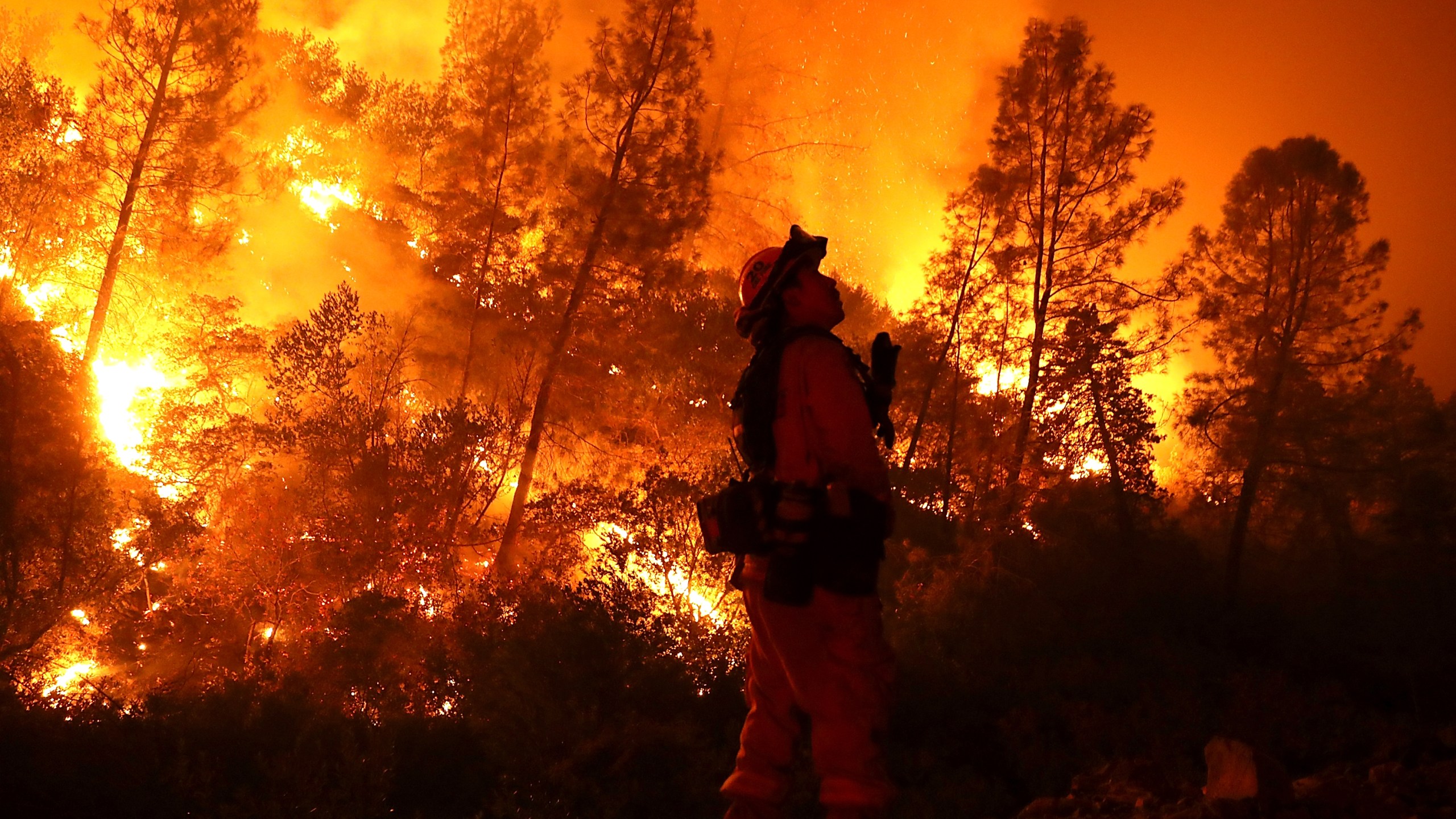 A firefighter monitors a back fire while battling the Medocino Complex Fire on August 7, 2018 near Lodoga. (Credit: Justin Sullivan/Getty Images)