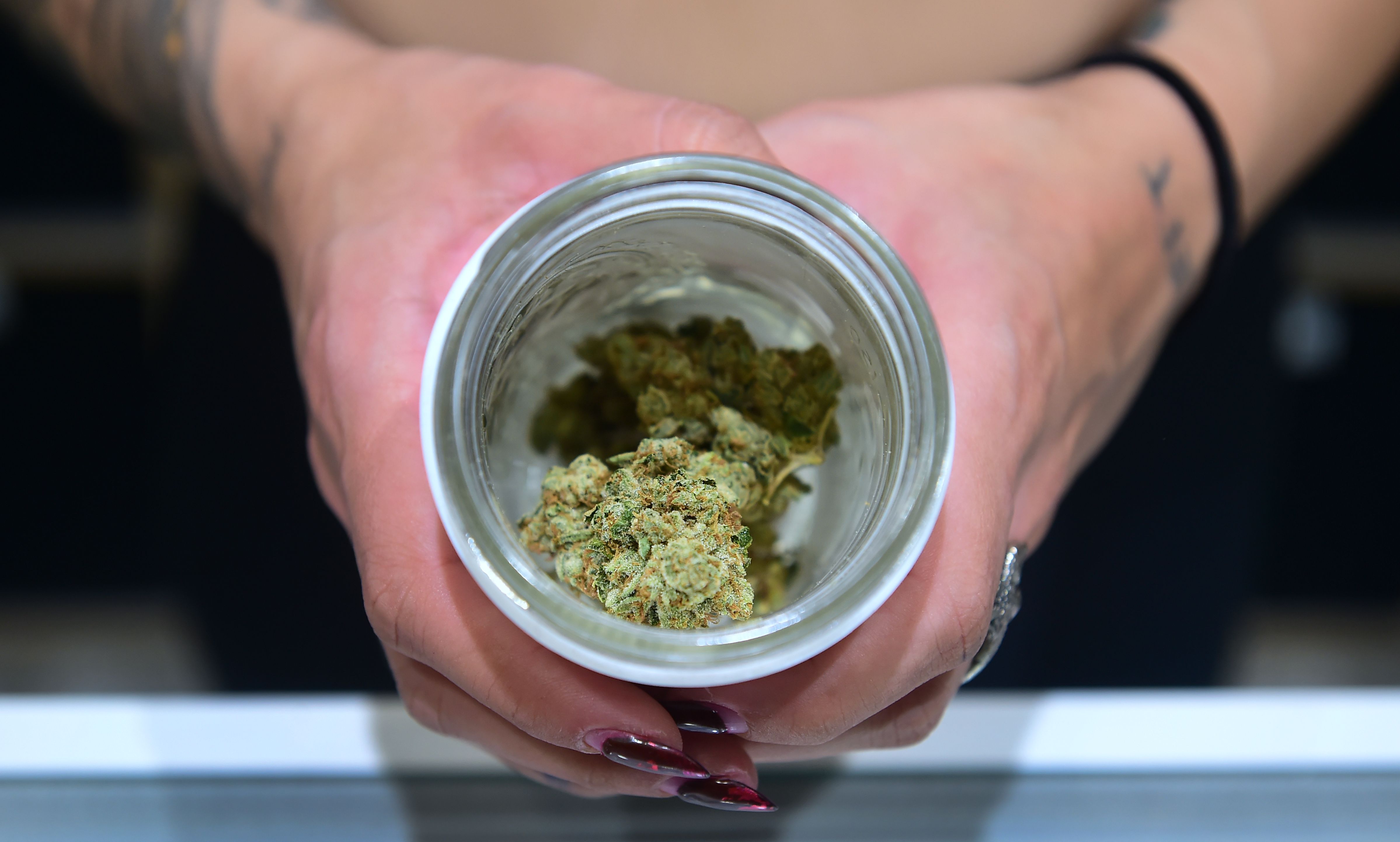 A jar of Insane OG, a strain of marijuana, is displayed at the opening of Dr. Greenthumb, the flagship medical and recreational marijuana dispensary opened by B Real of Cypress Hill fame in Sylmar, on Aug. 15, 2018. (Credit: Frederic J. Brown / AFP / Getty Images)