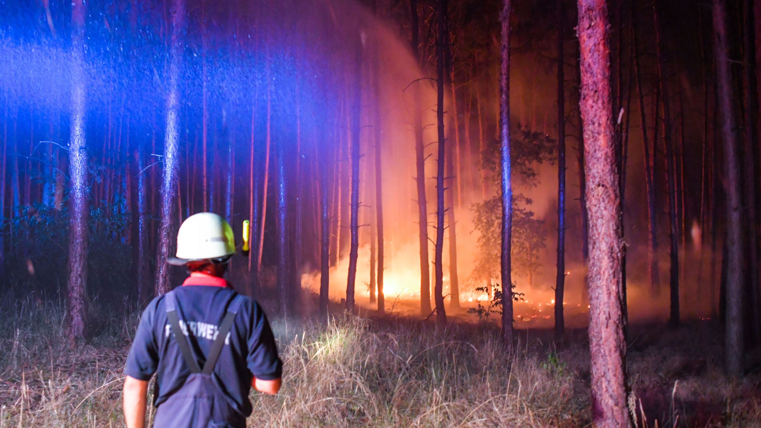 Firefighters work to put out a blaze in Klausdorf, northeastern Germany on Aug. 24, 2018. (Credit: Patrick Pleul/AFP/Getty Images)