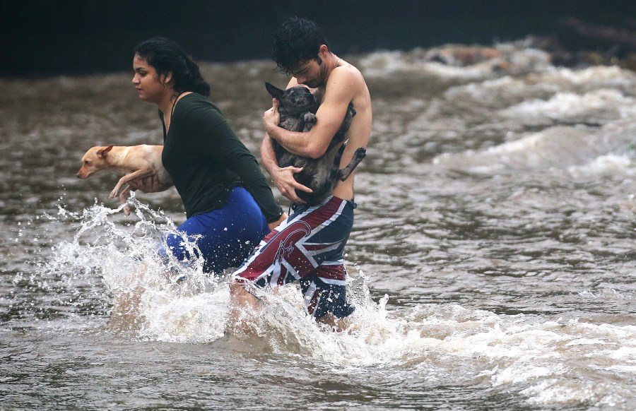 Hurricane Lane has brought more than a foot of rainfall to some parts of the Big Island which is under a flash flood warning. (Credit: Mario Tama/Getty Images)