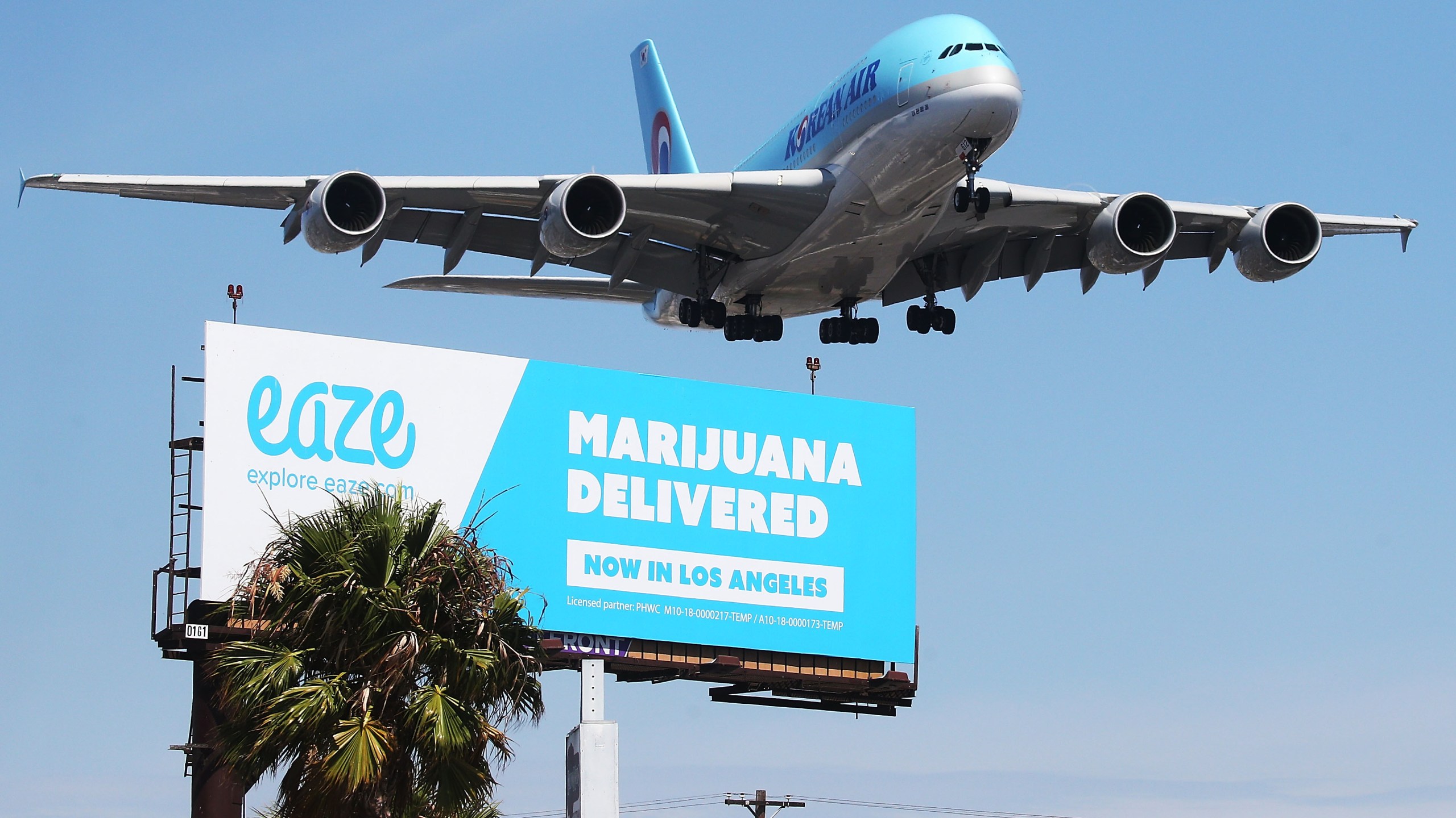 An airplane descends to land at Los Angeles International Airport above a billboard advertising the marijuana delivery service Eaze on July 12, 2018. (Credit: Mario Tama / Getty Images)