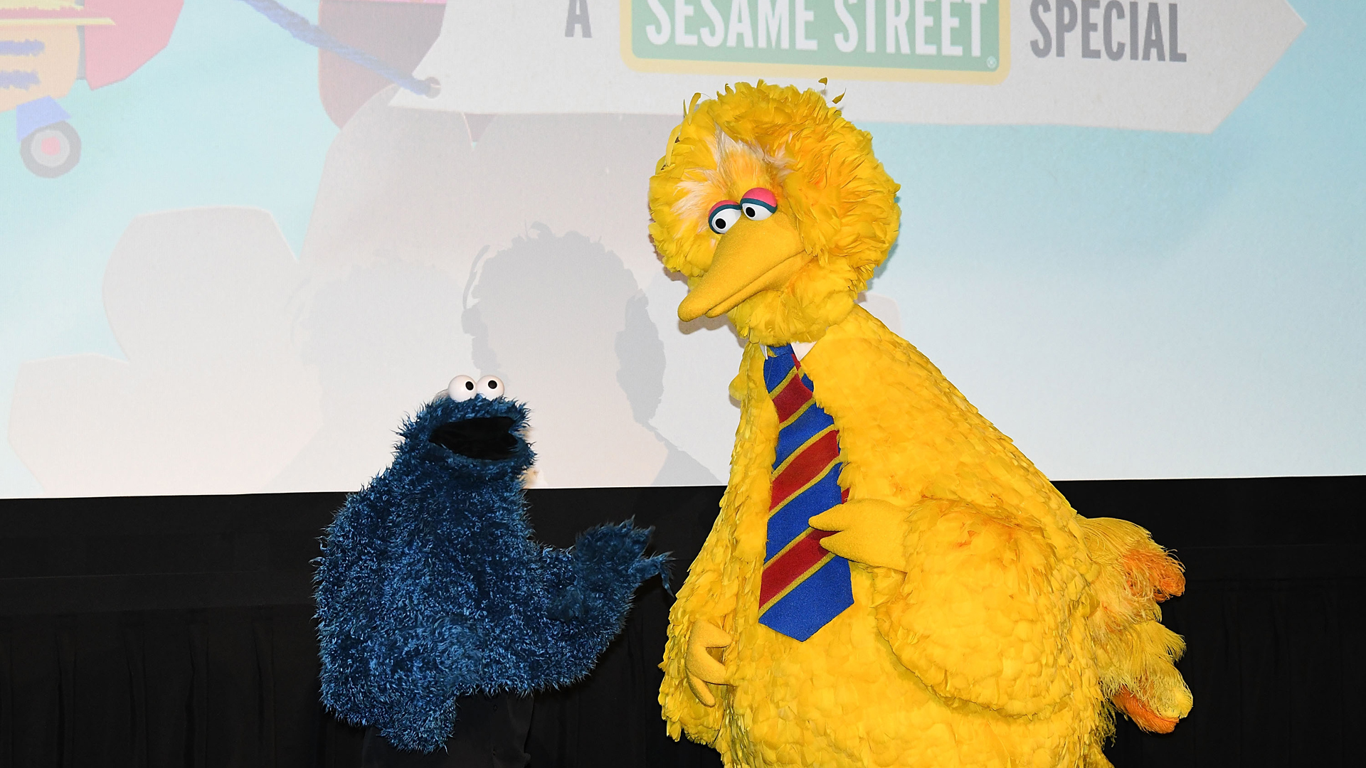 Sesame Street characters Big Bird and Cookie Monster attend HBO Premiere of Sesame Street's The Magical Wand Chase at the Metrograph on November 9, 2017 in New York City. (Credit: Slaven Vlasic/Getty Images for HBO)