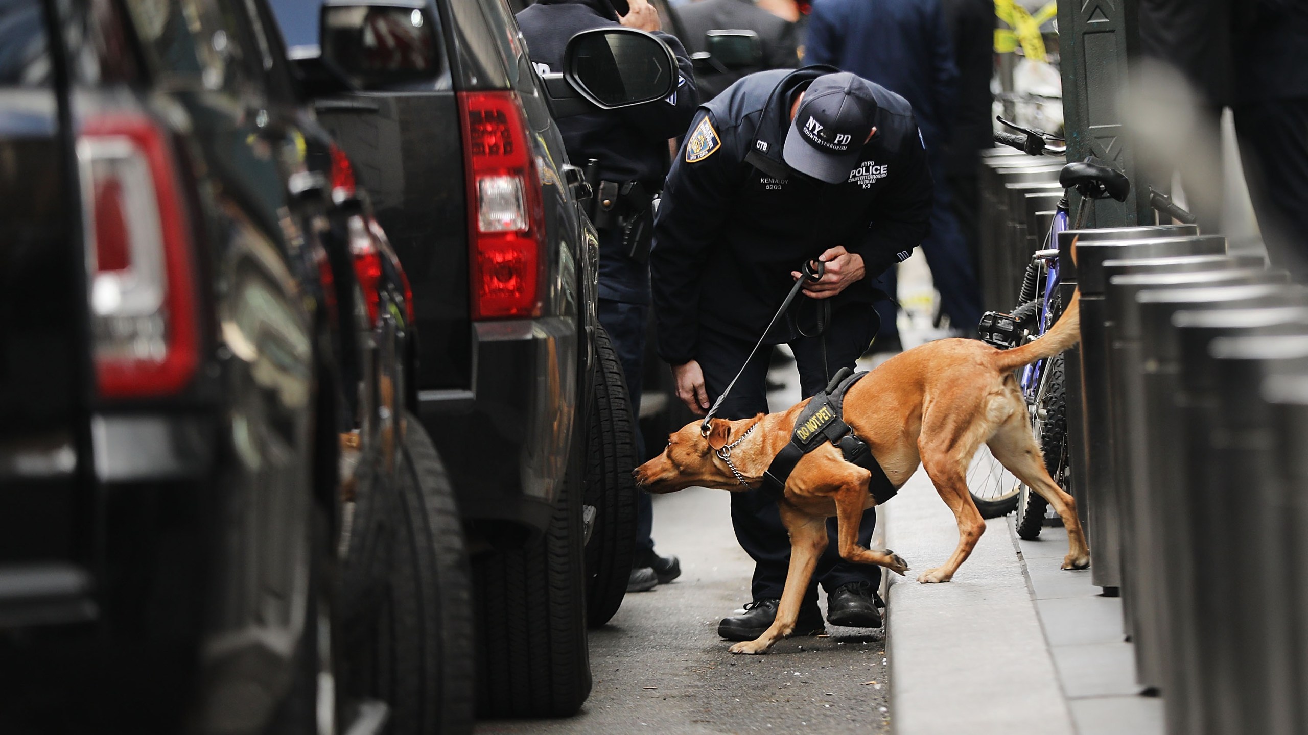 A police bomb-sniffing dog is deployed outside of the Time Warner Center after an explosive device was found Oct. 24, 2018, in New York City. CNN's office at the center was evacuated. (Credit: Spencer Platt/Getty Images)