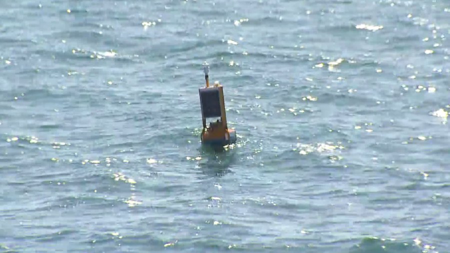 Officials presented a pilot project in Newport Beach to detect sharks swimming in the water. Chip Yost reports for the KTLA 5 News at 1 on Oct. 10, 2018.