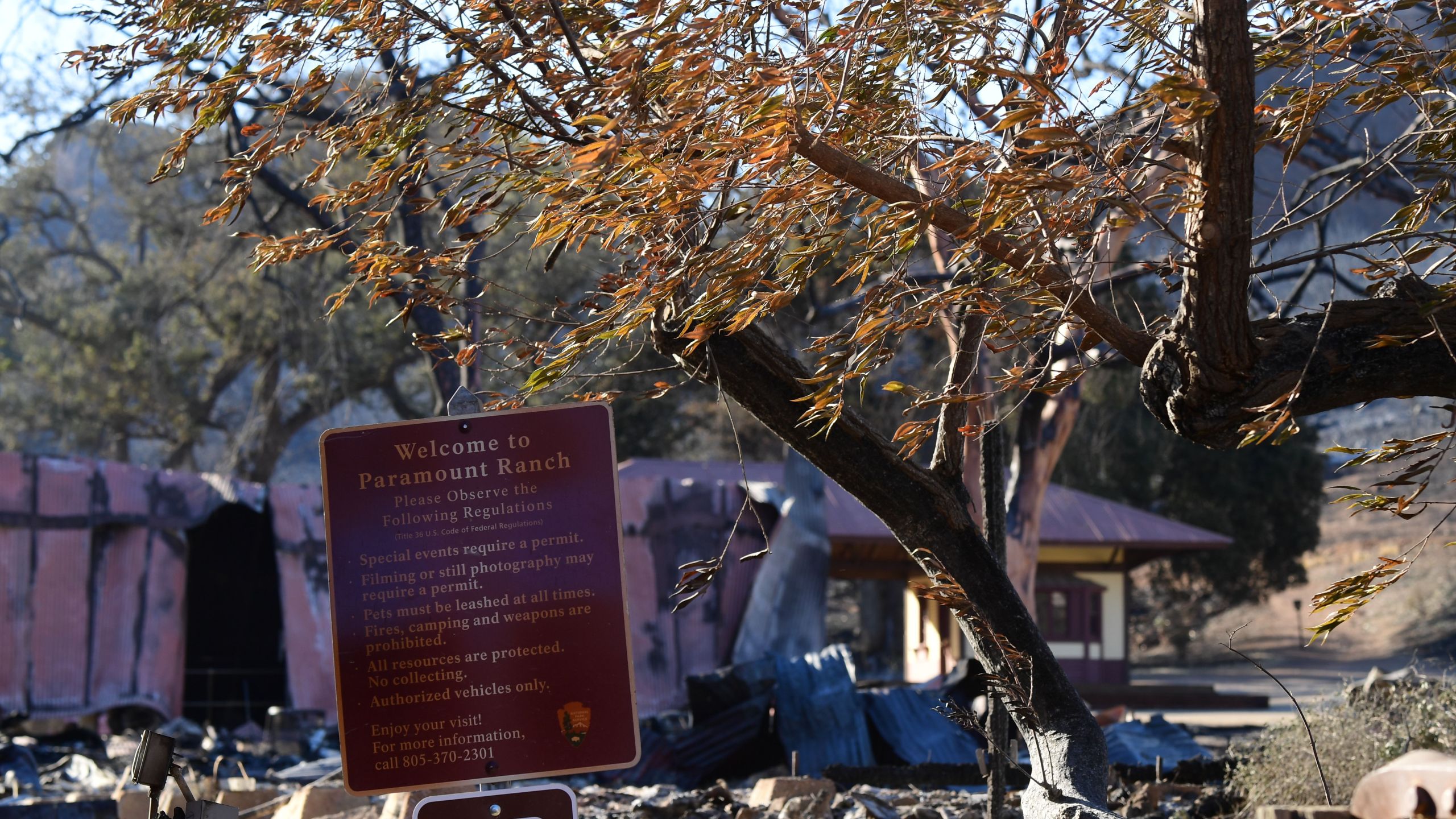 Paramount Ranch in the Santa Monica Mountains, where the TV show "Westworld" and hundreds of other Hollywood productions were filmed, is seen after the Woolsey fire, Nov. 12, 2018. (Credit: Robyn Beck / AFP / Getty Images)