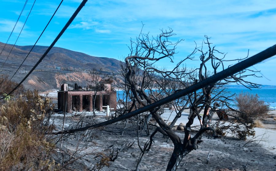 A burnt structure remains standing surrounded by downed power lines and trees at Leo Carillo State Beach in Malibu on Nov. 15, 2018. (Credit: Frederic J. Brown/AFP/Getty Images)