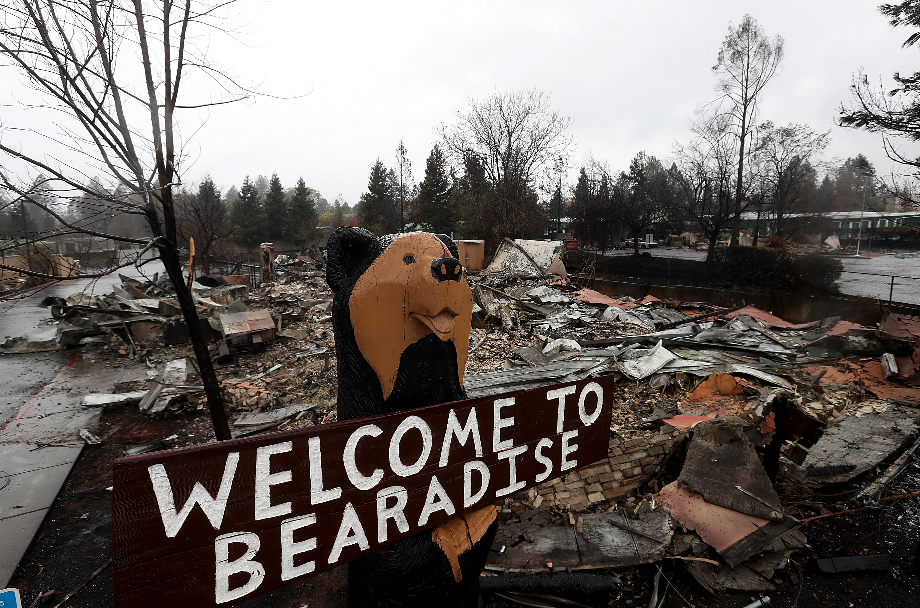 A statue of a bear remains in front of a restaurant that was destroyed by the Camp Fire, as seen on Nov. 21, 2018, in Paradise. (Credit: Justin Sullivan / Getty Images)