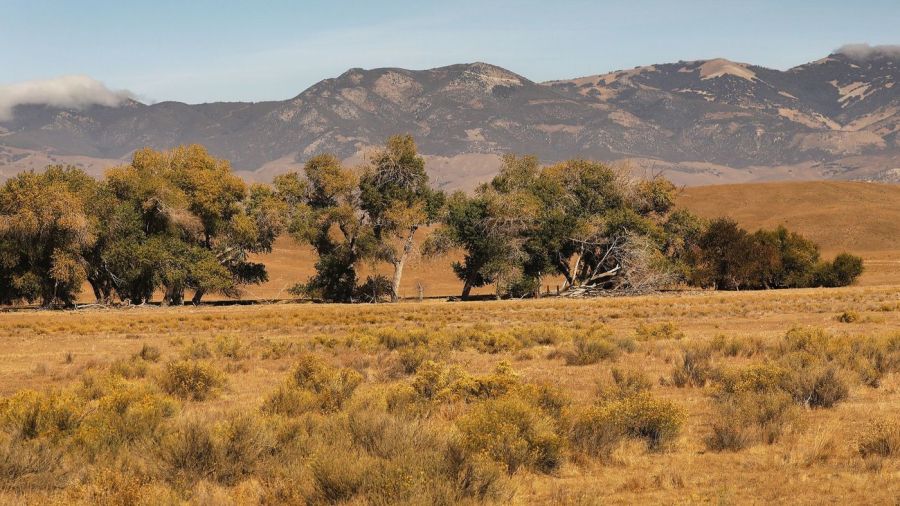 A view of the site of the proposed Centennial project on Tejon Ranch from Highway 138 with the Blue Ridge Mountains in the backdrop in October 2018. (Credit: Al Seib / Los Angeles Times)