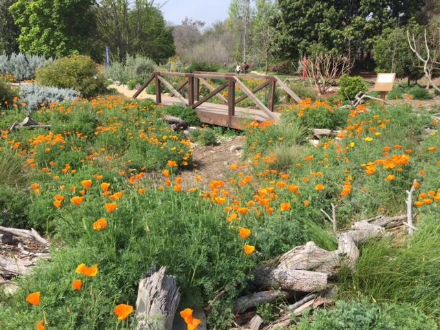 The L.A. County Arboretum and Botanic Garden is seen in an image posted on the facility's Facebook page in April 2018.