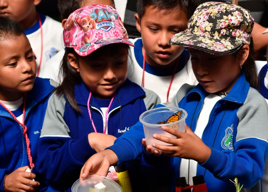 Children look at a Monarch butterfly at a butterfly farm in the Chapultepec Zoo in Mexico City on April 7, 2017. (Credit: PEDRO PARDO/AFP/Getty Images)