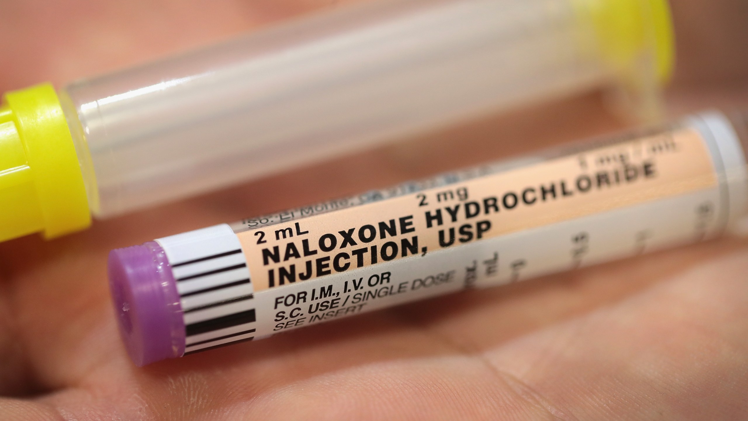 A firefighter displays a dose of Naloxone which emergency responders carry to treat opioid drug overdoses on July 14, 2017, in Rockford, Illinois.(Credit: Scott Olson/Getty Images)