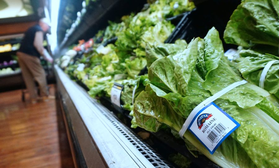 A man shops for vegetables beside Romaine lettuce at a supermarket on May 2, 2018, in Los Angeles where the first death from an E. coli outbreak related to contaminated Romaine lettuce was reported. (Credit: Frederic J. BROWN / AFP / Getty Images)