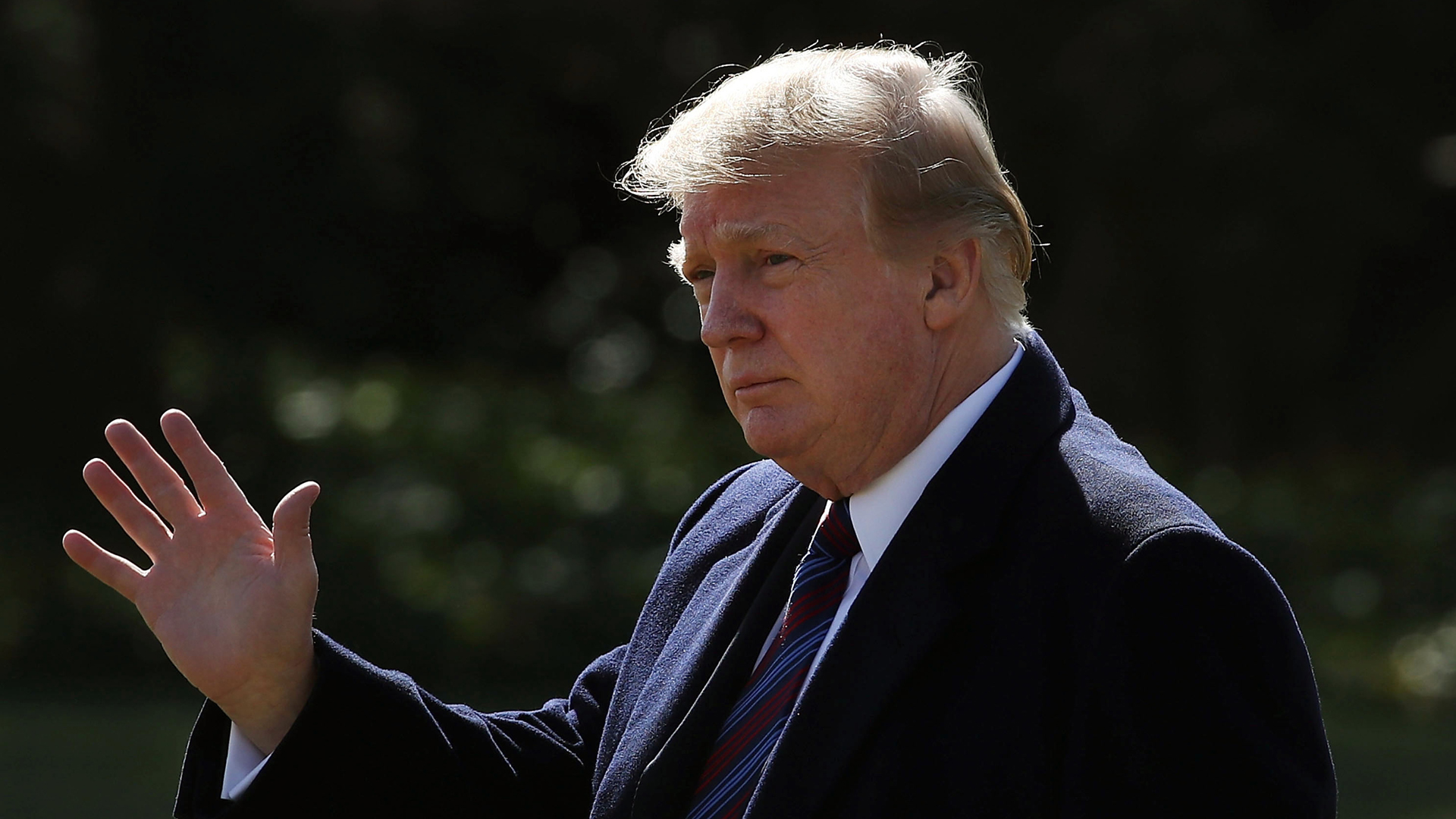 Donald Trump waves as he walks to Marine One at the White House on Feb. 8, 2019 in Washington, D.C. (Credit: Mark Wilson/Getty Images)