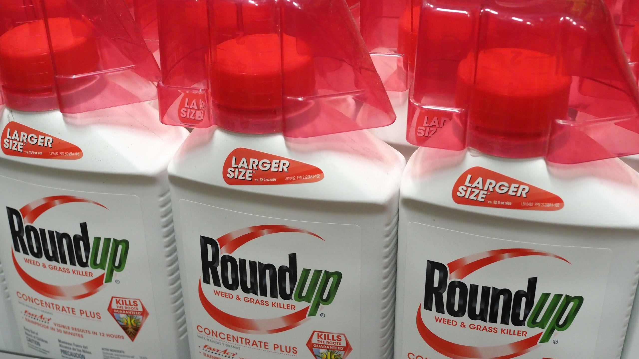 Bottles of Monsanto's Roundup are seen for sale June 19, 2018 at a retail store in Glendale, California. (Credit: ROBYN BECK/AFP/Getty Images)